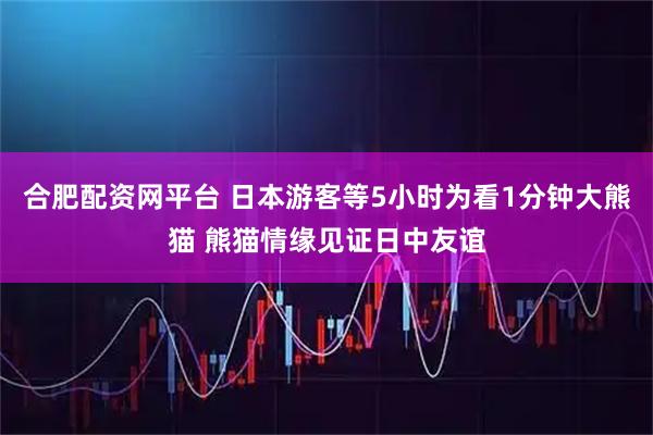 合肥配资网平台 日本游客等5小时为看1分钟大熊猫 熊猫情缘见证日中友谊